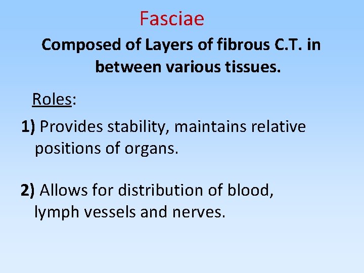 Fasciae Composed of Layers of fibrous C. T. in between various tissues. Roles: 1)