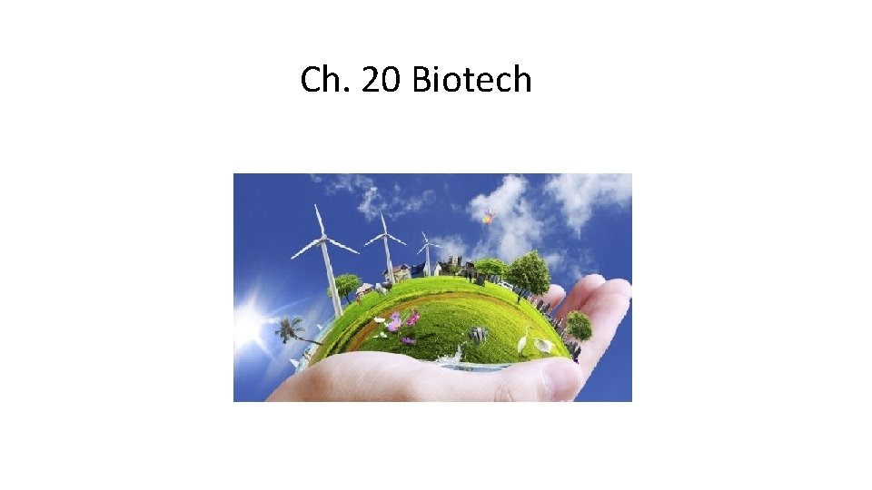 Ch. 20 Biotech 