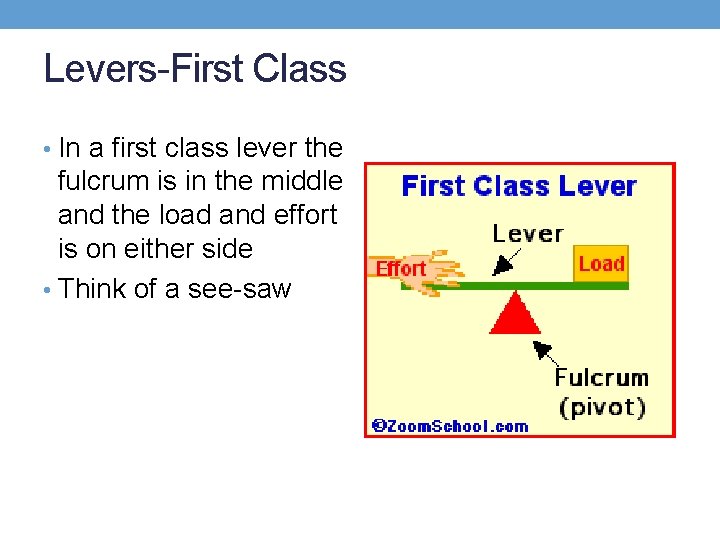 Levers-First Class • In a first class lever the fulcrum is in the middle