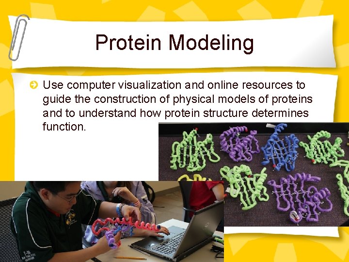 Protein Modeling Use computer visualization and online resources to guide the construction of physical
