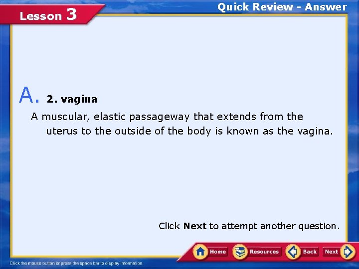 Lesson 3 Quick Review - Answer A. 2. vagina A muscular, elastic passageway that