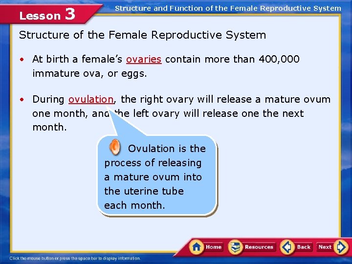 Lesson 3 Structure and Function of the Female Reproductive System Structure of the Female