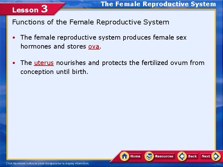 Lesson 3 The Female Reproductive System Functions of the Female Reproductive System • The