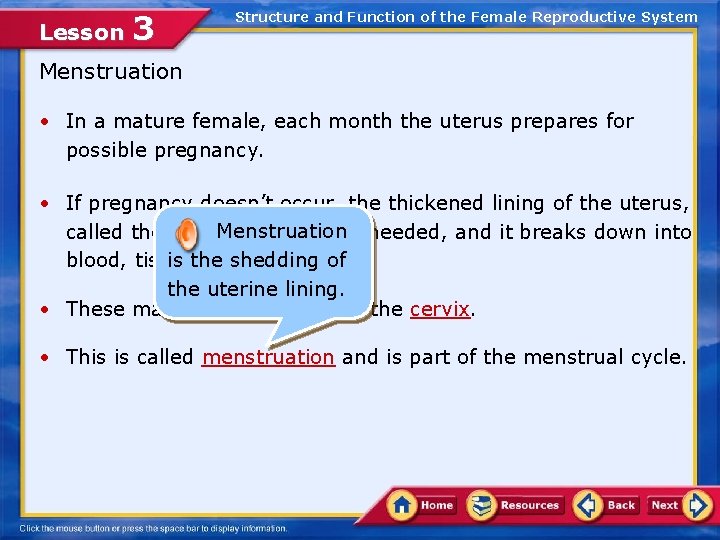 Lesson 3 Structure and Function of the Female Reproductive System Menstruation • In a