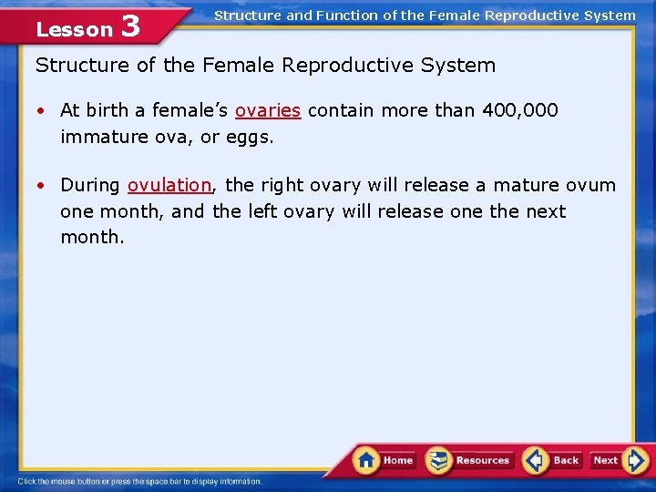 Lesson 3 Structure and Function of the Female Reproductive System Structure of the Female