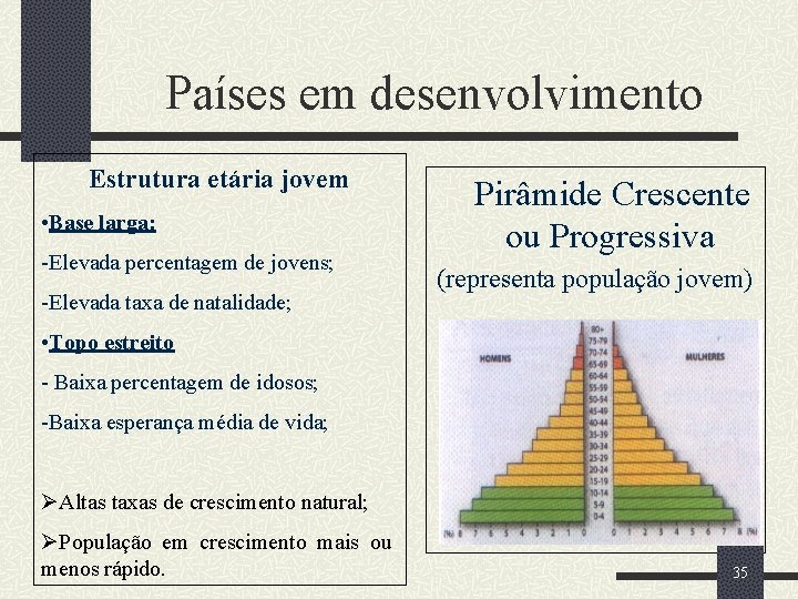 Países em desenvolvimento Estrutura etária jovem • Base larga: -Elevada percentagem de jovens; -Elevada