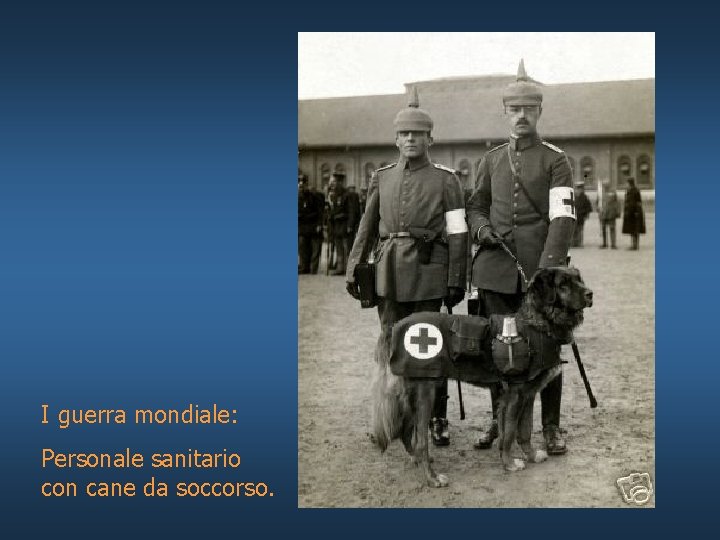 I guerra mondiale: Personale sanitario con cane da soccorso. 