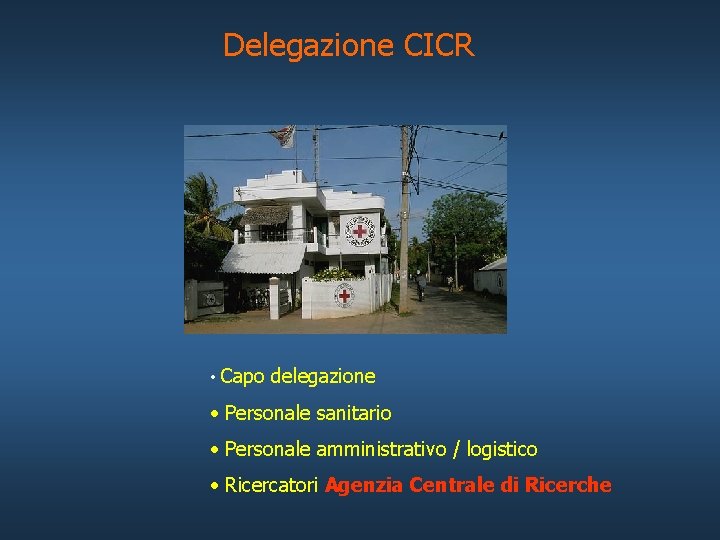 Delegazione CICR • Capo delegazione • Personale sanitario • Personale amministrativo / logistico •