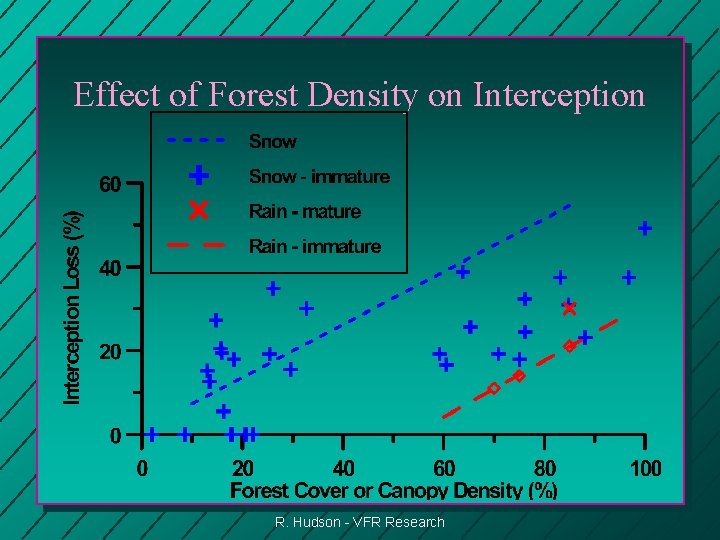 Effect of Forest Density on Interception R. Hudson - VFR Research 