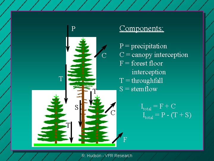 Components: P P = precipitation C = canopy interception F = forest floor interception