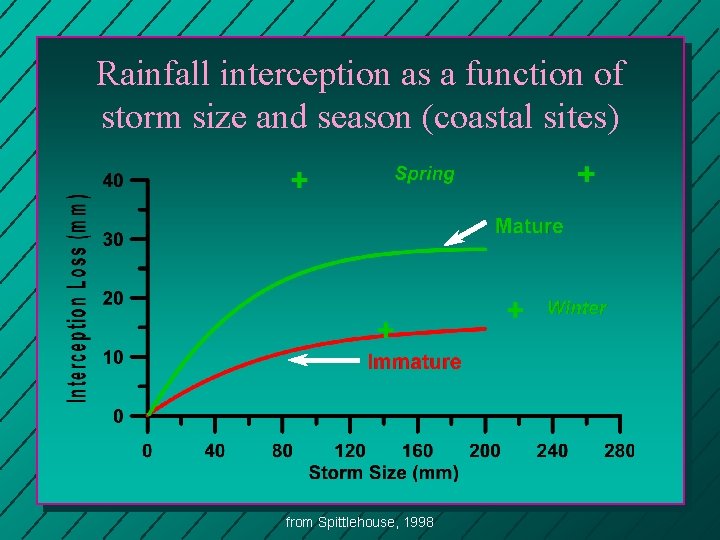 Rainfall interception as a function of storm size and season (coastal sites) from Spittlehouse,