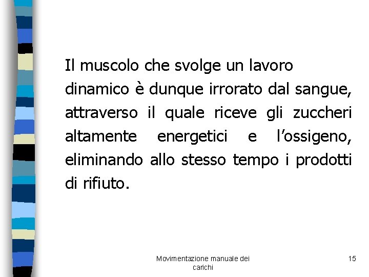  Il muscolo che svolge un lavoro dinamico è dunque irrorato dal sangue, attraverso