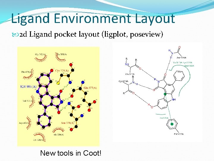 Ligand Environment Layout 2 d Ligand pocket layout (ligplot, poseview) New tools in Coot!