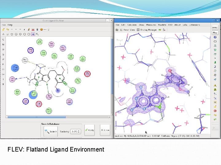 FLEV: Flatland Ligand Environment 