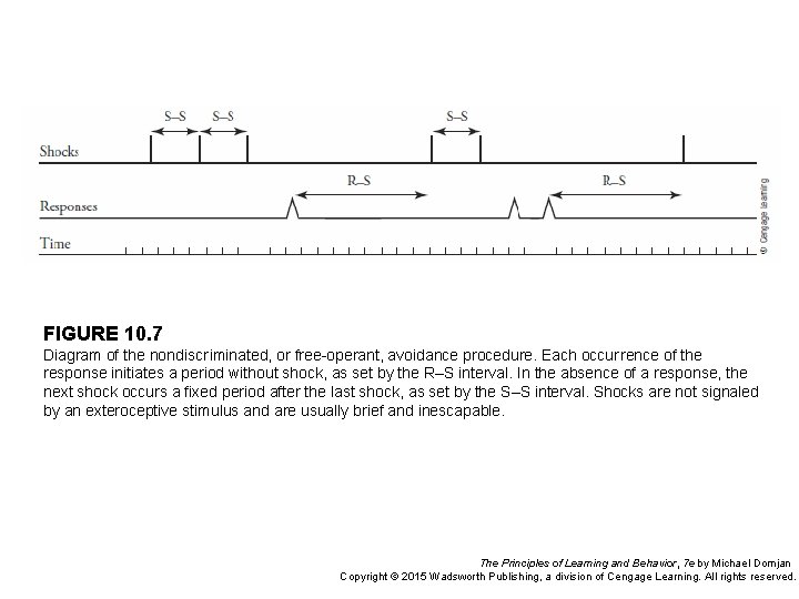 FIGURE 10. 7 Diagram of the nondiscr iminated, or free-operant, avoidance procedure. Each occur rence of FIGURE 10. 7 Diagram of the nondiscr iminated, or free-operant, avoidance procedure. Each occur rence of