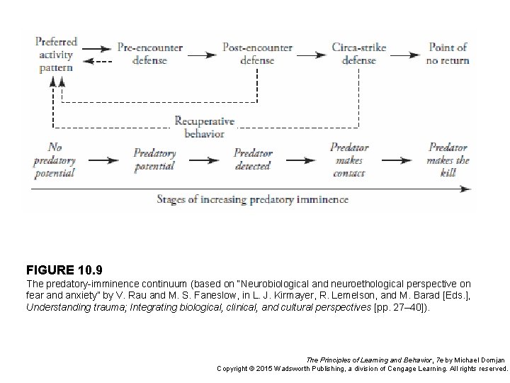 FIGURE 10. 9 The predatory-imminence continuum (based on “Neurobiological and neuroethological perspective on fear FIGURE 10. 9 The predatory-imminence continuum (based on “Neurobiological and neuroethological perspective on fear