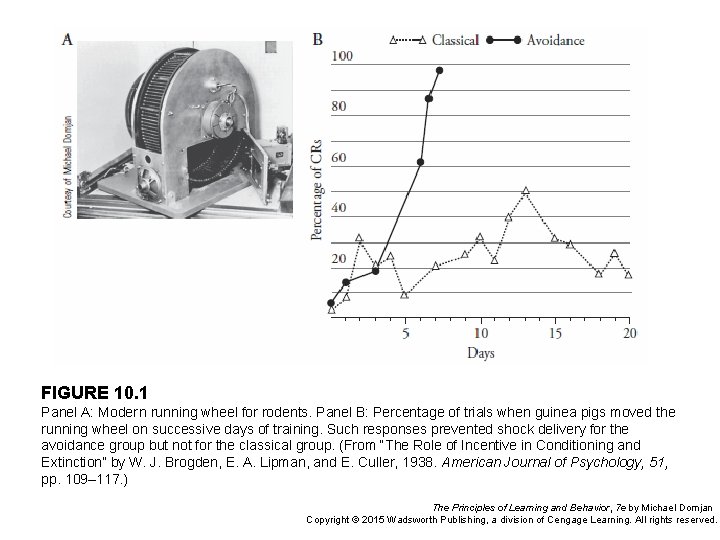 FIGURE 10. 1 Panel A: Moder n running wheel for rodents. Panel B: Percentage of FIGURE 10. 1 Panel A: Moder n running wheel for rodents. Panel B: Percentage of
