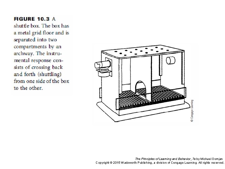 The Principles of Learning and Behavior, 7 e by Michael Domjan Copyright © 2015 The Principles of Learning and Behavior, 7 e by Michael Domjan Copyright © 2015