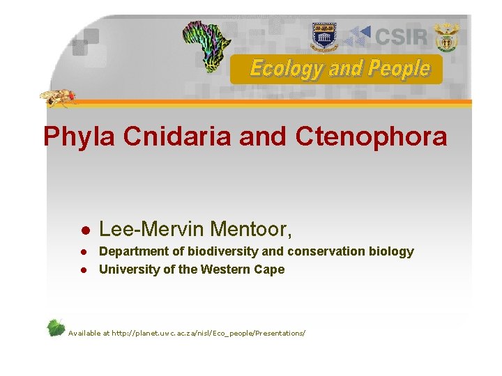Phyla Cnidaria and Ctenophora l l l Lee-Mervin Mentoor, Department of biodiversity and conservation