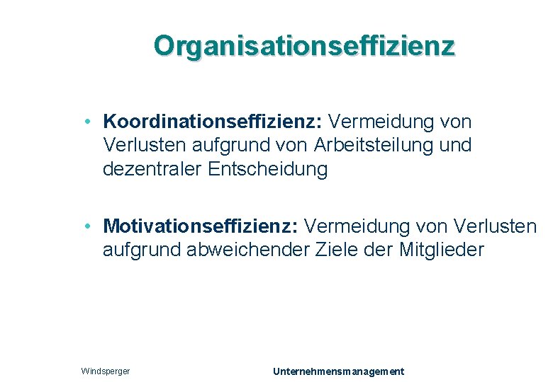 Organisationseffizienz • Koordinationseffizienz: Vermeidung von Verlusten aufgrund von Arbeitsteilung und dezentraler Entscheidung • Motivationseffizienz: