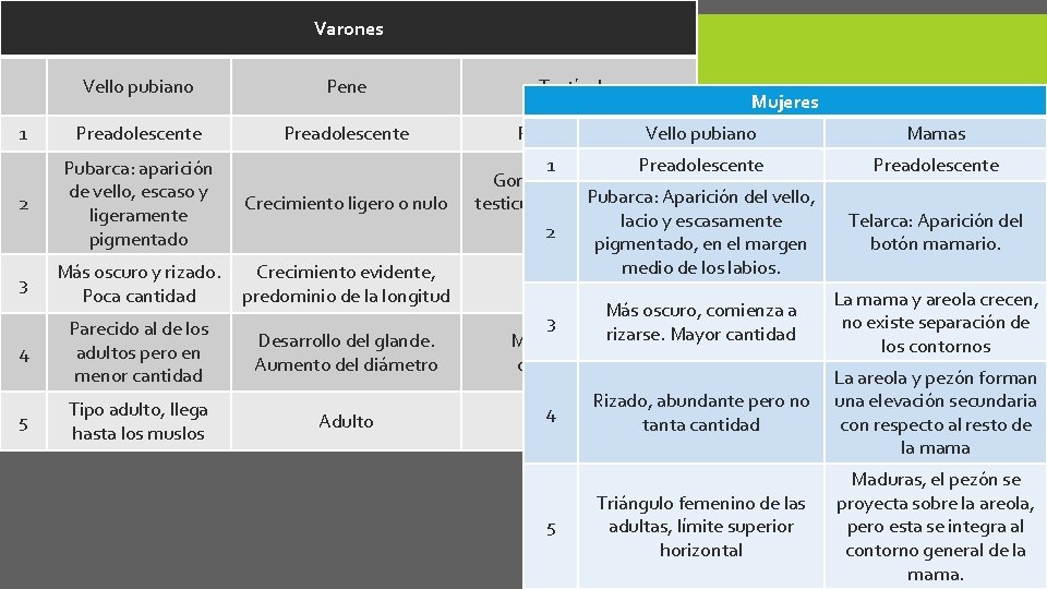 Varones Pene Testículos CAMBIOS BIOLÓGICOS Vello pubiano 1 2 3 4 5 Preadolescente Mujeres