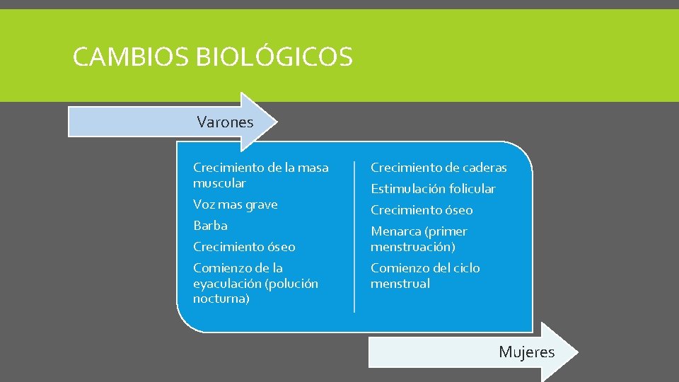 CAMBIOS BIOLÓGICOS Varones Crecimiento de la masa muscular Voz mas grave Barba Crecimiento óseo