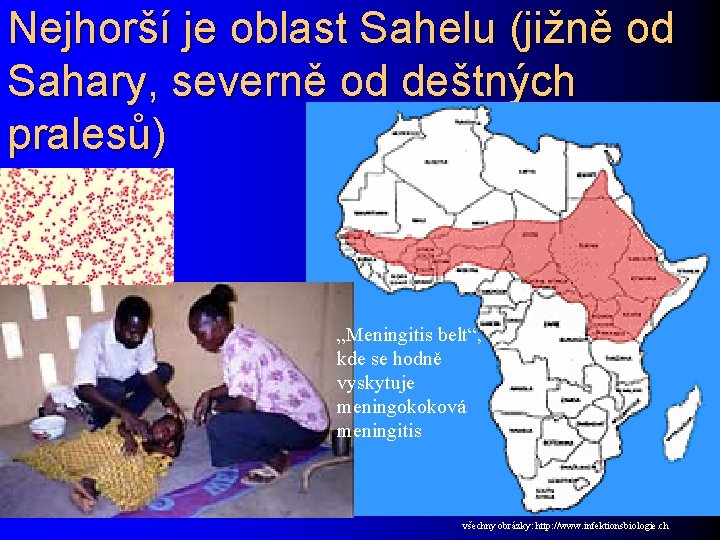 Nejhorší je oblast Sahelu (jižně od Sahary, severně od deštných pralesů) „Meningitis belt“, kde