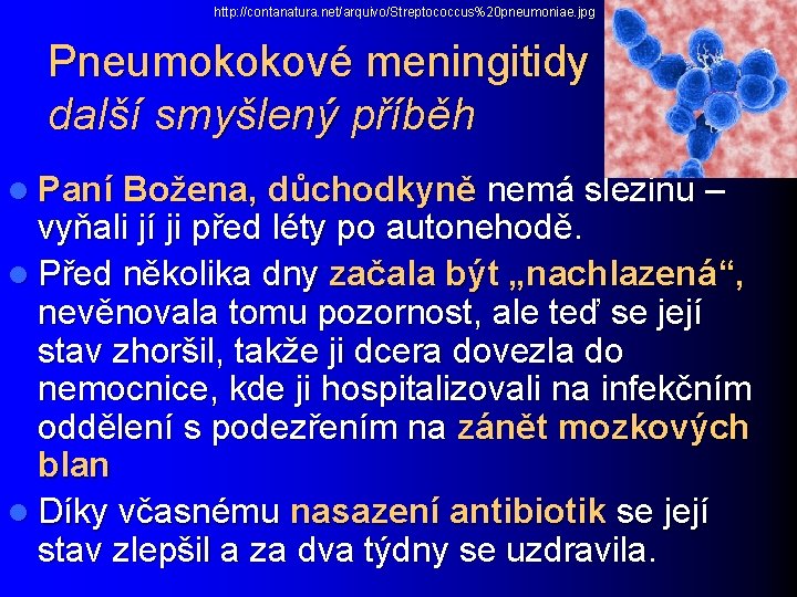 http: //contanatura. net/arquivo/Streptococcus%20 pneumoniae. jpg Pneumokokové meningitidy další smyšlený příběh l Paní Božena, důchodkyně