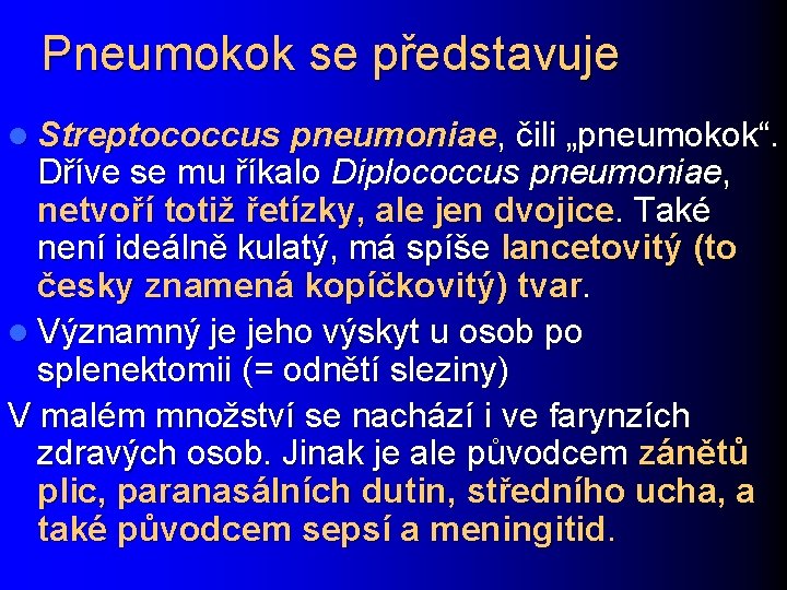 Pneumokok se představuje l Streptococcus pneumoniae, čili „pneumokok“. Dříve se mu říkalo Diplococcus pneumoniae,