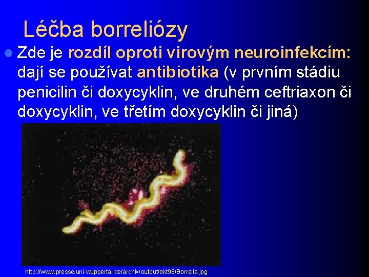 Léčba borreliózy l Zde je rozdíl oproti virovým neuroinfekcím: dají se používat antibiotika (v