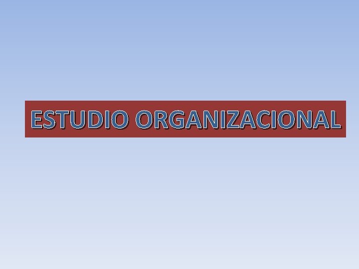 ESTUDIO ORGANIZACIONAL 
