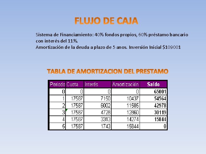 Sistema de Financiamiento: 40% fondos propios, 60% préstamo bancario con interés del 11%. Amortización