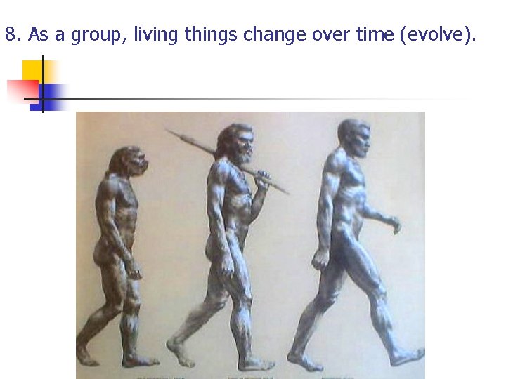 8. As a group, living things change over time (evolve). 8. As a group, living things change over time (evolve).