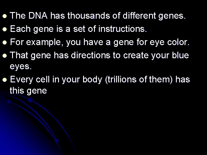 The DNA has thousands of different genes. l Each gene is a set of The DNA has thousands of different genes. l Each gene is a set of