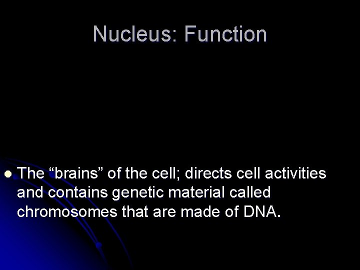 Nucleus: Function l The “brains” of the cell; directs cell activities and contains genetic Nucleus: Function l The “brains” of the cell; directs cell activities and contains genetic