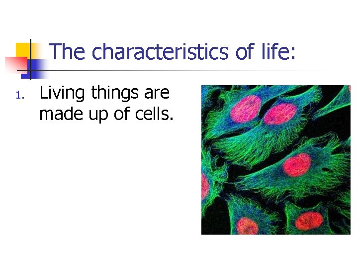 The characteristics of life: 1. Living things are made up of cells. The characteristics of life: 1. Living things are made up of cells.