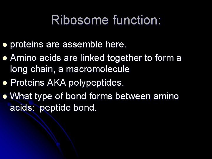 Ribosome function: proteins are assemble here. l Amino acids are linked together to form Ribosome function: proteins are assemble here. l Amino acids are linked together to form