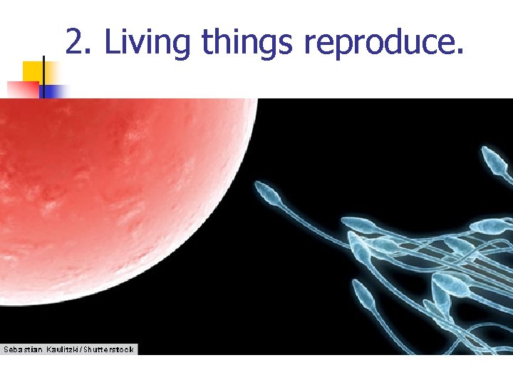 2. Living things reproduce. 2. Living things reproduce.