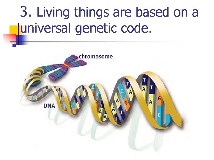 3. Living things are based on a universal genetic code. 3. Living things are based on a universal genetic code.