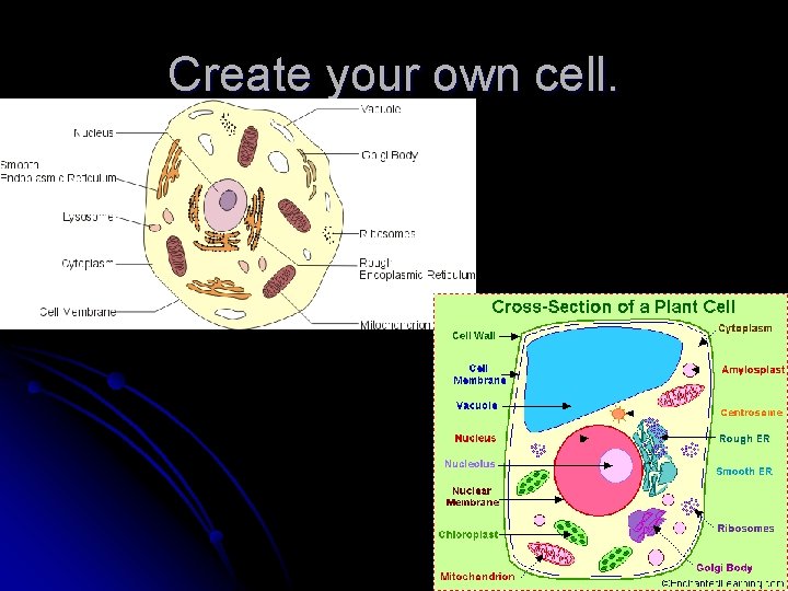 Create your own cell. Create your own cell.