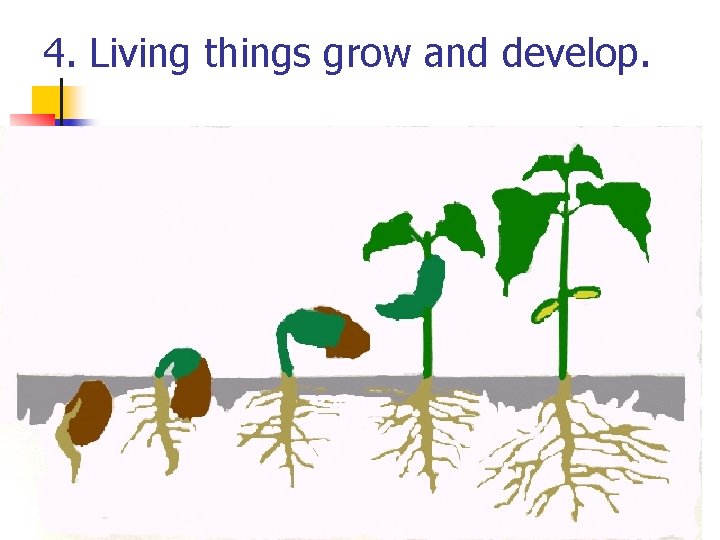 4. Living things grow and develop. 4. Living things grow and develop.