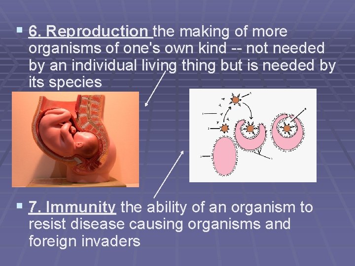 § 6. Reproduction the making of more organisms of one's own kind -- not § 6. Reproduction the making of more organisms of one's own kind -- not