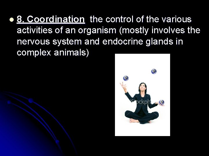 l 8. Coordination the control of the various activities of an organism (mostly involves l 8. Coordination the control of the various activities of an organism (mostly involves