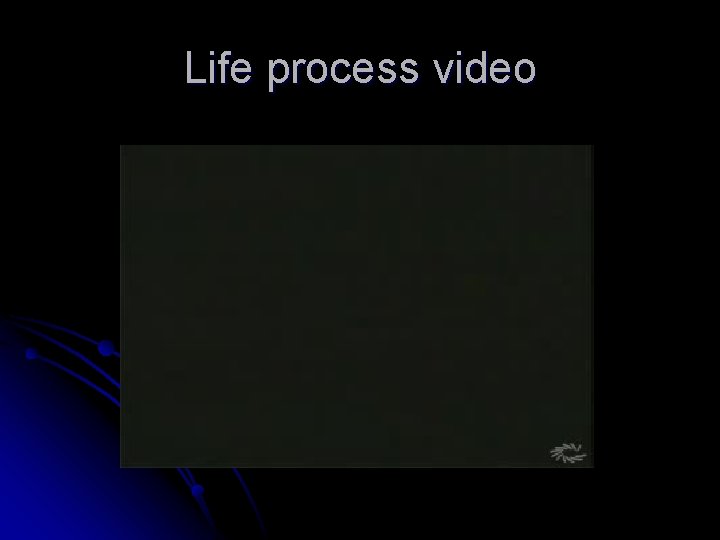 Life process video Life process video