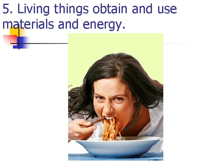 5. Living things obtain and use materials and energy. 5. Living things obtain and use materials and energy.