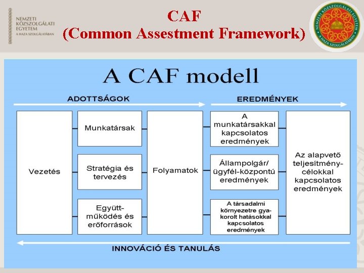 CAF (Common Assestment Framework) CAF (Common Assestment Framework)