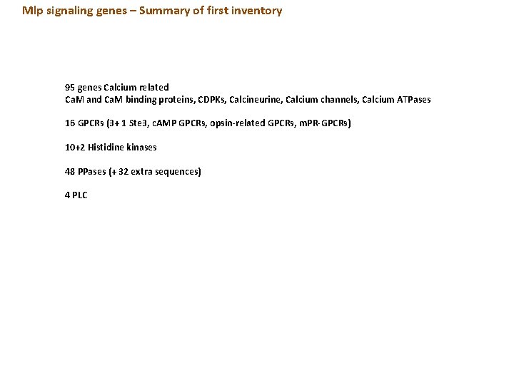 Mlp signaling genes – Summary of first inventory 95 genes Calcium related Ca. M Mlp signaling genes – Summary of first inventory 95 genes Calcium related Ca. M