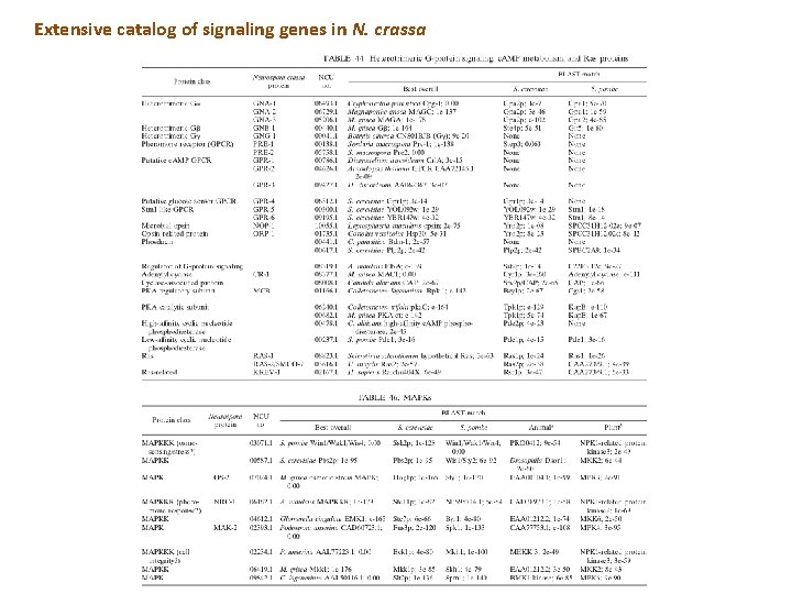 Extensive catalog of signaling genes in N. crassa Extensive catalog of signaling genes in N. crassa