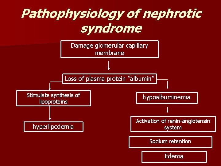 Pathophysiology of nephrotic syndrome Damage glomerular capillary membrane Loss of plasma protein ”albumin” Stimulate