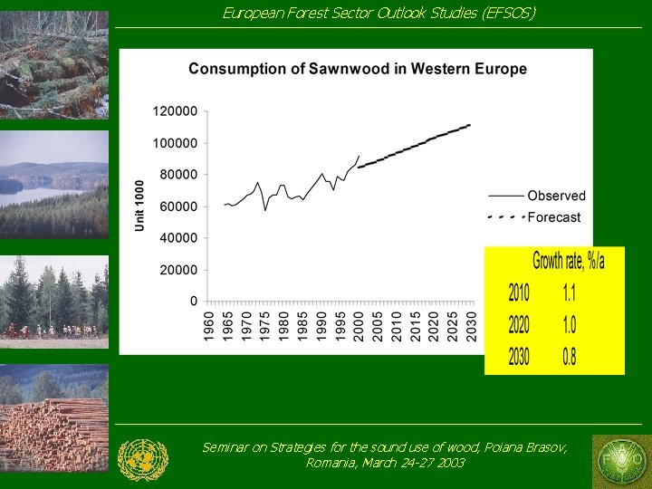 European Forest Sector Outlook Studies (EFSOS) Seminar on Strategies for the sound use of